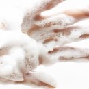 진리세탁 이미지