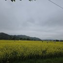 호호면옥 이미지