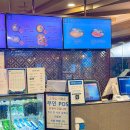 여객터미널 | 인천공항1터미널24시간식당 t1 플레이팅 제1여객터미널점 후기