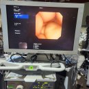 Olympus BF-1T200 Video Bronchoscope 이미지
