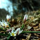 내면의 바다 이미지