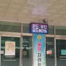 명현초등학교 이미지