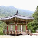 구룡사 - 1336 | 구룡사