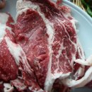 경남식육식당 티스토리