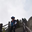 영산대학교 이미지