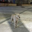 CU 공덕미네뜨점 이미지