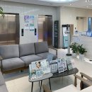 가미의원 | 송파피부과 가미의원 엑소좀 주사 내돈내산 후기