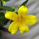 보고싶다친구야 - 논산시 | 보고싶다친구야