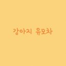 야옹아 멍멍해봐 삼각점 이미지