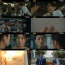 키마이라 일간스포츠