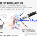 본업을 찾은 조직 이미지