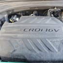 TM할인마트 이미지