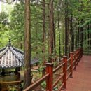 경주숲 1,2 이미지