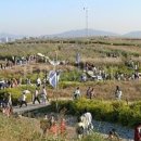 난지천2(잔디매점) 이미지