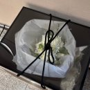 폴라리스 웨딩 본식 후기(서울대 호암교수회관 제휴 드레스샵)