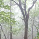 삼화2리마을회관 이미지