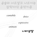 &lt;윤슬의 너도알고 나도아는 잡학다식&gt; 음악이론_나타냄말(con, 보조용어)