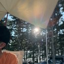 충남 태안 바다드림 캠핑장 후기