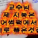 인화여자고등학교 이미지