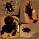 동로석항보건진료소 | 2021년 여름방학기간 신나게 즐기기