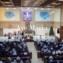 2024년1월1일(나해) 천주의 성모 마리아 대축일(특송: Ave Maria) 이미지