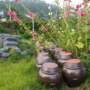 잠꽃펜션 이미지