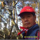 백동무궁화동산 이미지