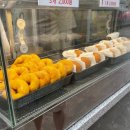 신포고꽈