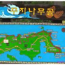 137차 태안반도 솔향기길 트레킹 안내 이미지