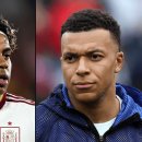 ELITE FIT 24 이미지