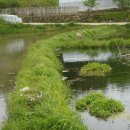 대산농장 이미지