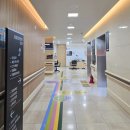 C.T.종합동물병원 | 익산병원 종합검진+건강검진_위&amp;대장내시경은 힘들어(ft.폭망한 인바디)