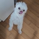 (주)슈퍼비전 이미지