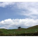 은신목장 이미지