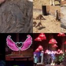 동화힐링캠프 이미지