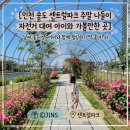 빨강자전거 | 인천 송도 센트럴파크 주말 나들이 자전거 대여 아이와 가볼만한 곳 완벽 코스 후기