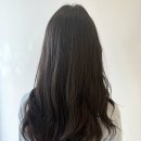 디어몽 | 강남 미용실 어몽 헤어 퍼스널 크리닉 손가영 디자이너 솔직 후기