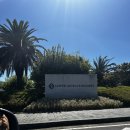 풍차노래방 | 제주 롯데호텔 태교여행 임산부 숙소 추천, 라세느 브런치 후기, 디럭스 마운틴 더블룸