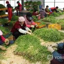 청정환경영농조합법인 이미지
