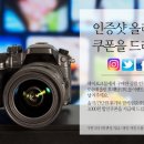 하이몰 이미지