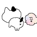 라임펜 이미지