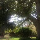 엔게디(Ein Gedi) 이미지