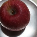 쌍둥이농장 이미지