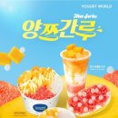 요거트월드광주