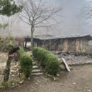장금이 사랑채 | ‘산골초가펜션’ 영월 촌캉스 반려견 동반 가능 숙소 - 2, 3일차
