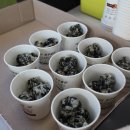 원주 FC축구클럽 이미지