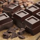 안성동물의료센터 이미지