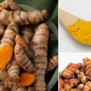 우리영농조합법인(농민주유소) | 6시내고향 진도 울금 정보