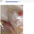 동네할인마트 네이버블로그
