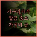 평화교통(주) | 로데스 카구라자카 호텔 숙박 후기, 깔끔한 시설과 편리한 교통! 개인 여행객에게 추천 카구라자카호텔...